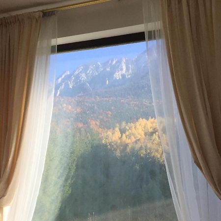 Villa & Spa 4Temporadas - Plaiul Foii Зернешті Екстер'єр фото